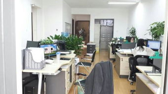 正道商务咨询服务中心 专业信息咨询，助力企业腾飞